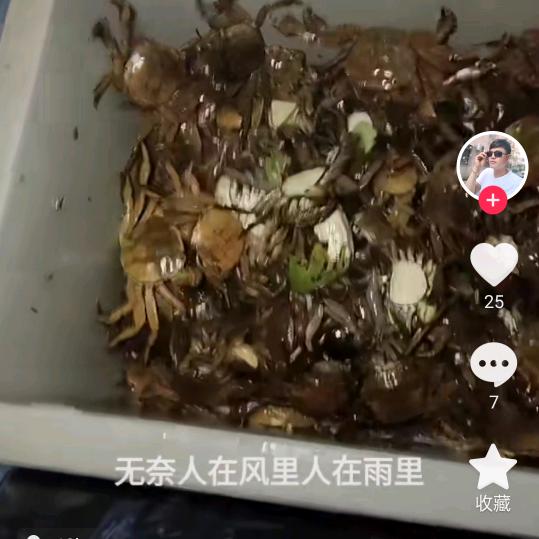 家具