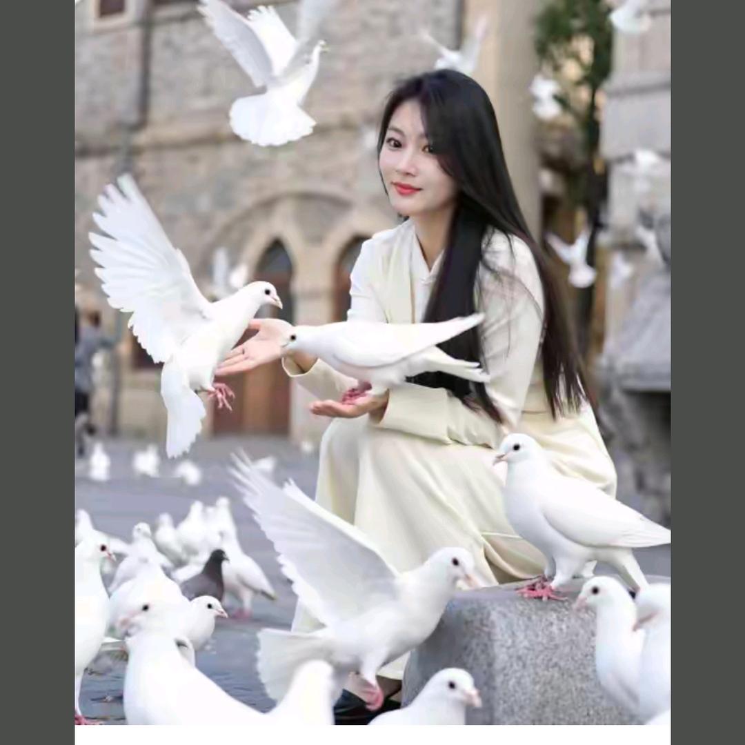 🍁柿柿如意🍁