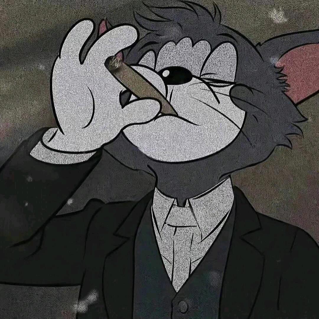 巅峰极速。老癫