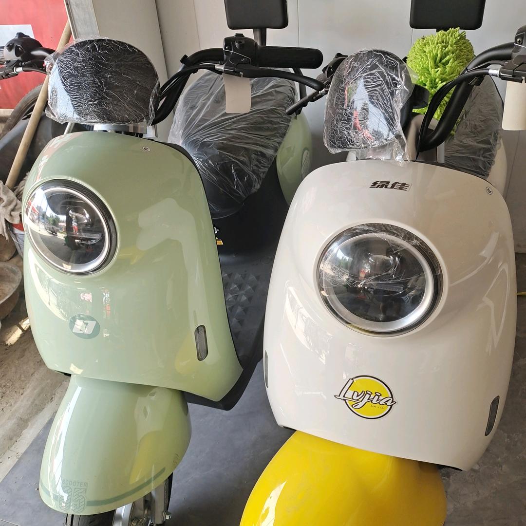 绿佳电动车汜河路店