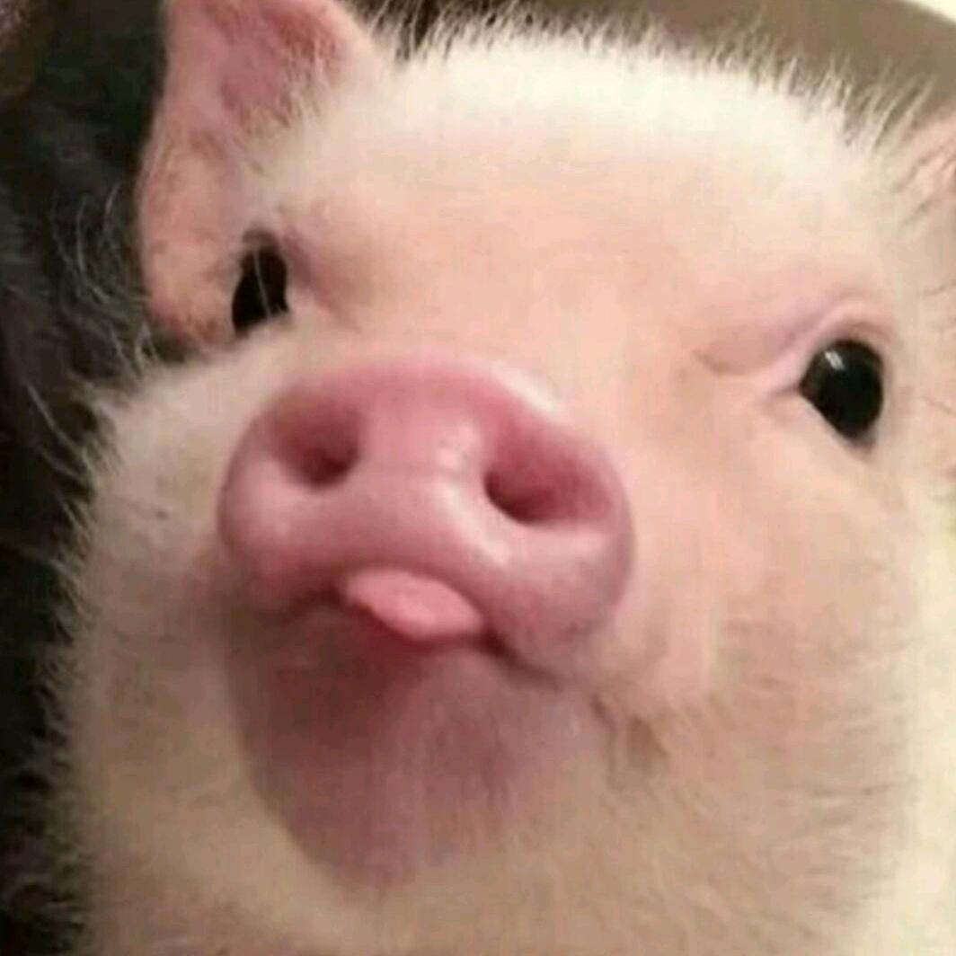 可爱凯🤪🤪