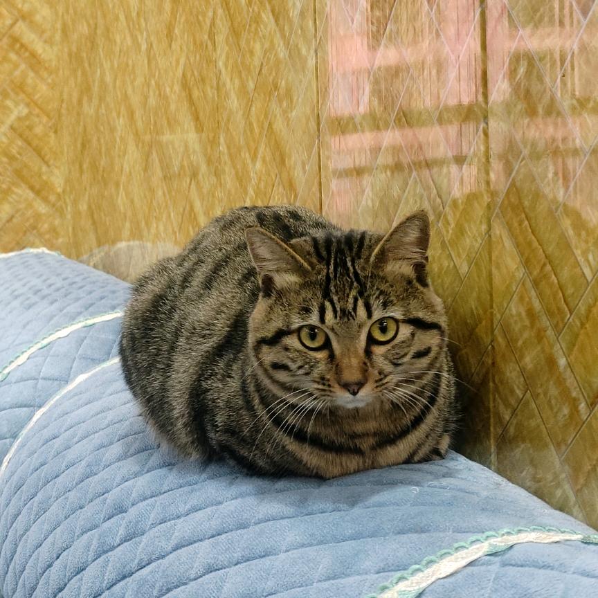 绥阳家电清洗小杨