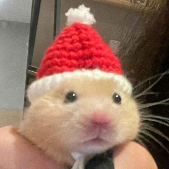 超级无敌霹雳鼠