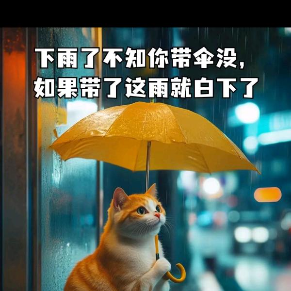听风吟、观云卷、破茧成蝶