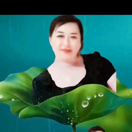 🍀🌹🐒小萍🌹🐒🍀！！拒私聊谢