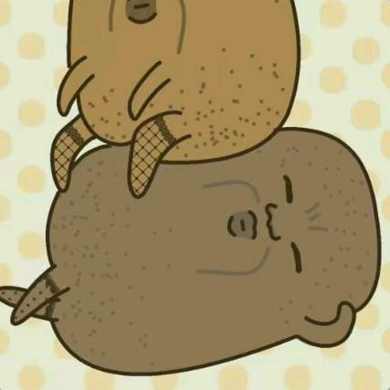 奇怪的老六（斗魂竞技场）