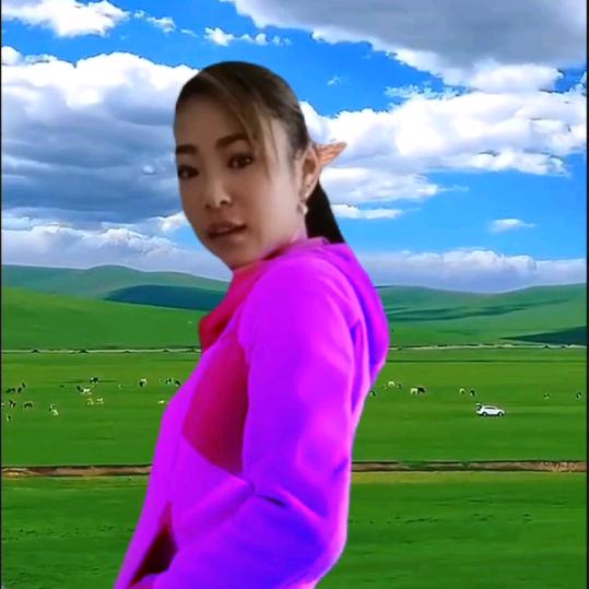 电话连编