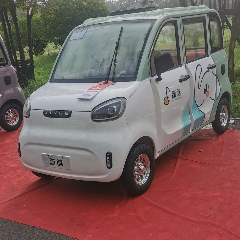 民权赛鸽&新鸽总经销