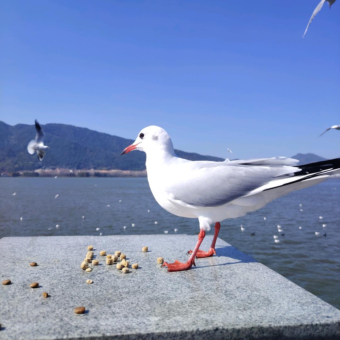 美卡斯汽修养护中心