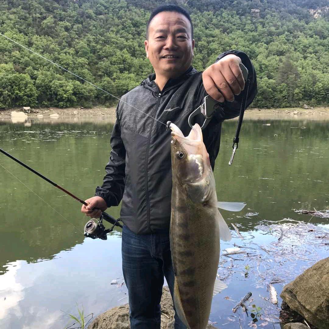 鑫哥