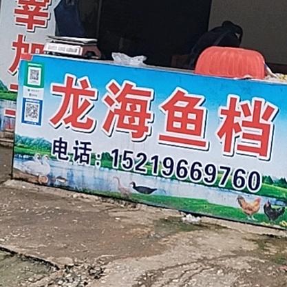 龙海鱼档