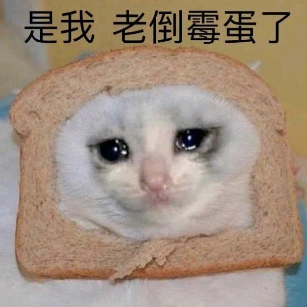 折枝