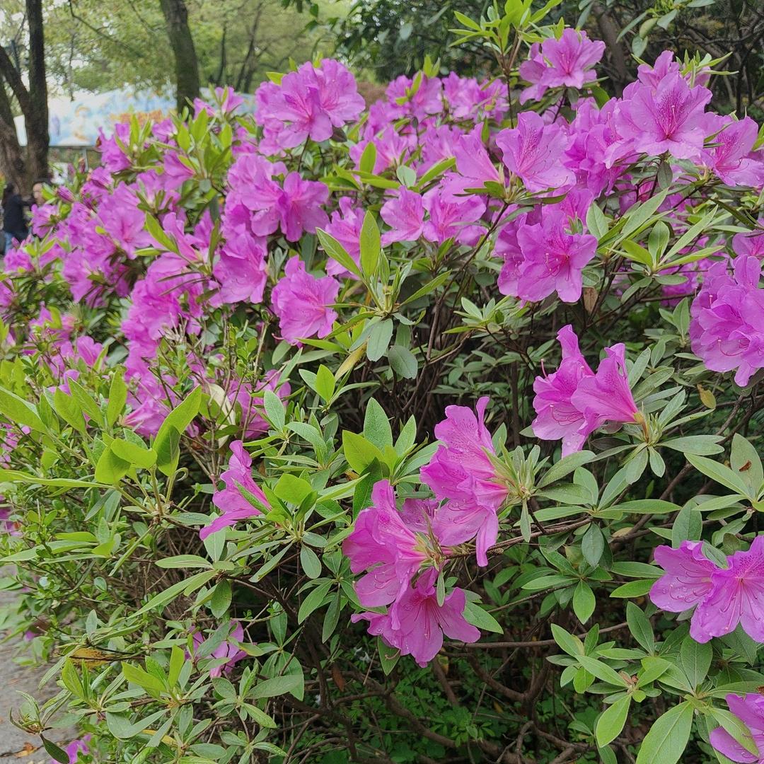 活在当下💞࿐