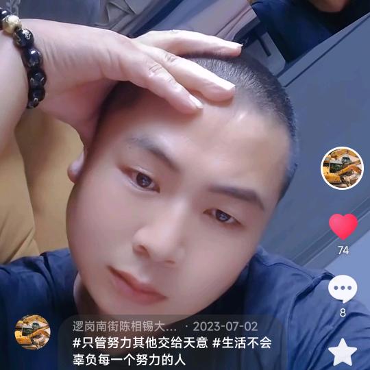 逻岗南街振振大小挖机板车出租