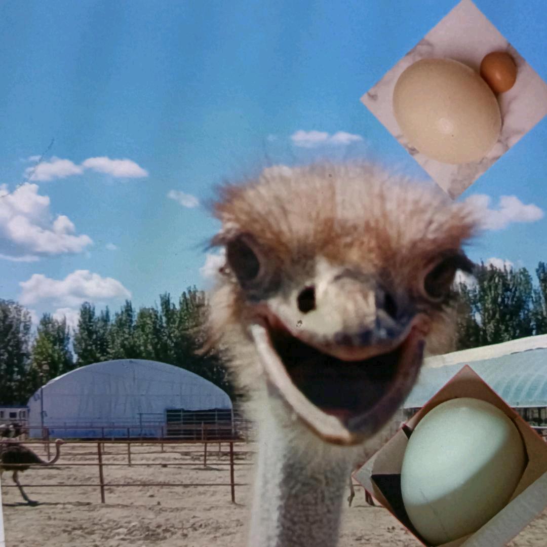 丽水市莲都区羡江家庭农场（个体工商户）