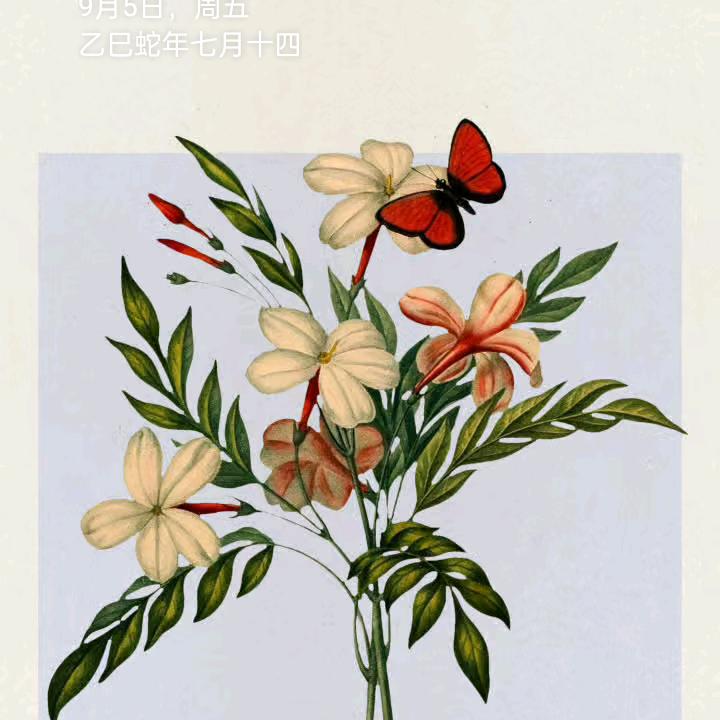 悠然自在
