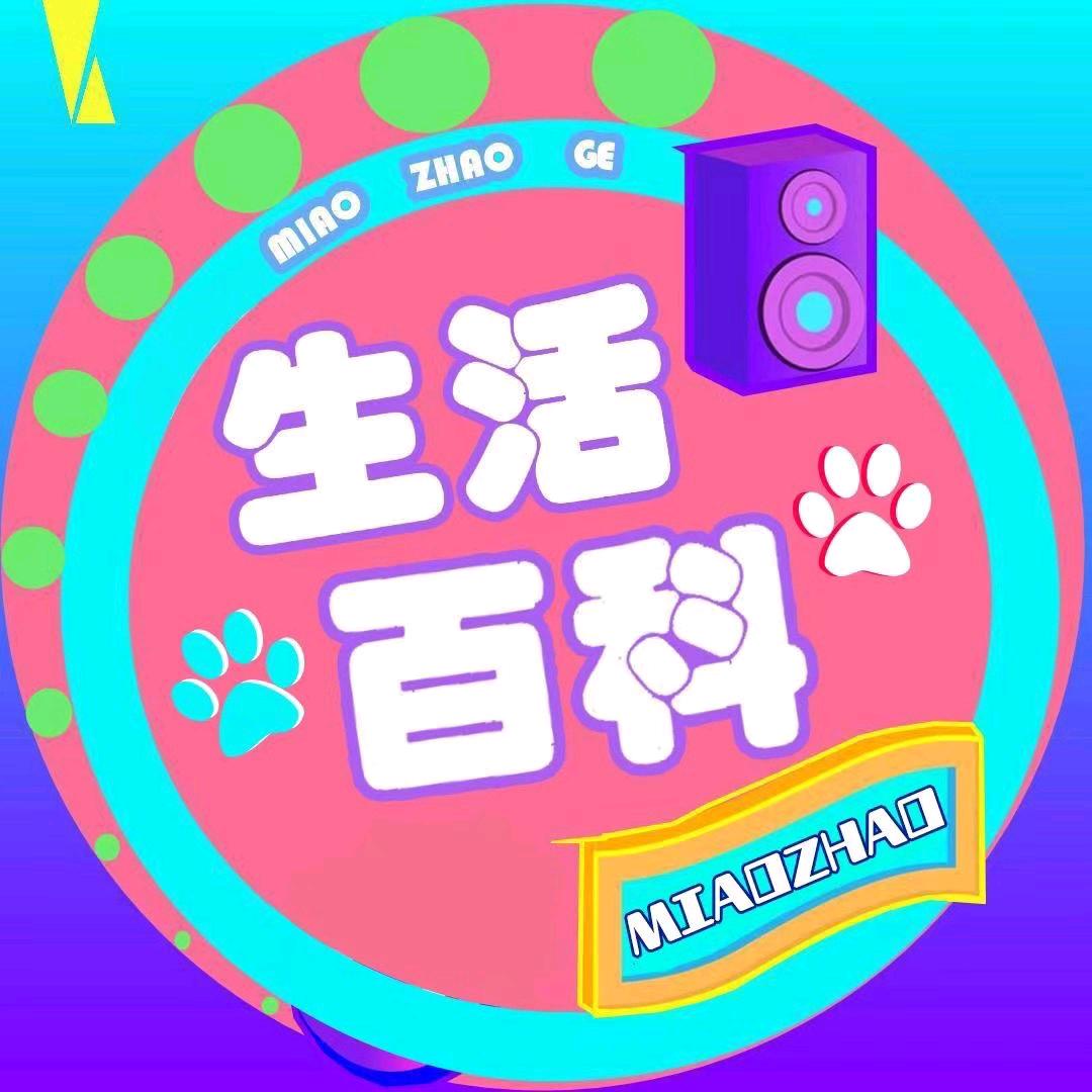 小楚爱分享