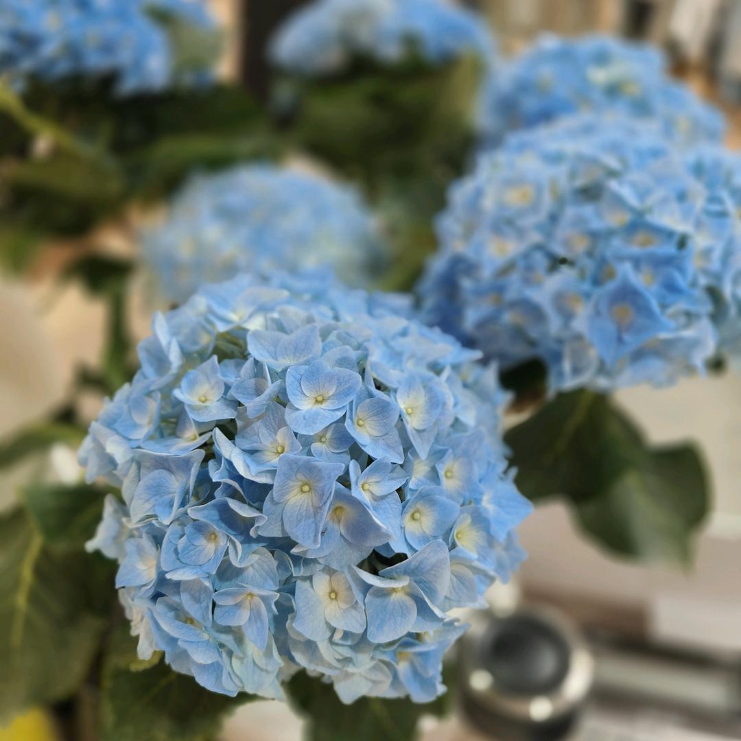 素熙女装小号【好物分享】