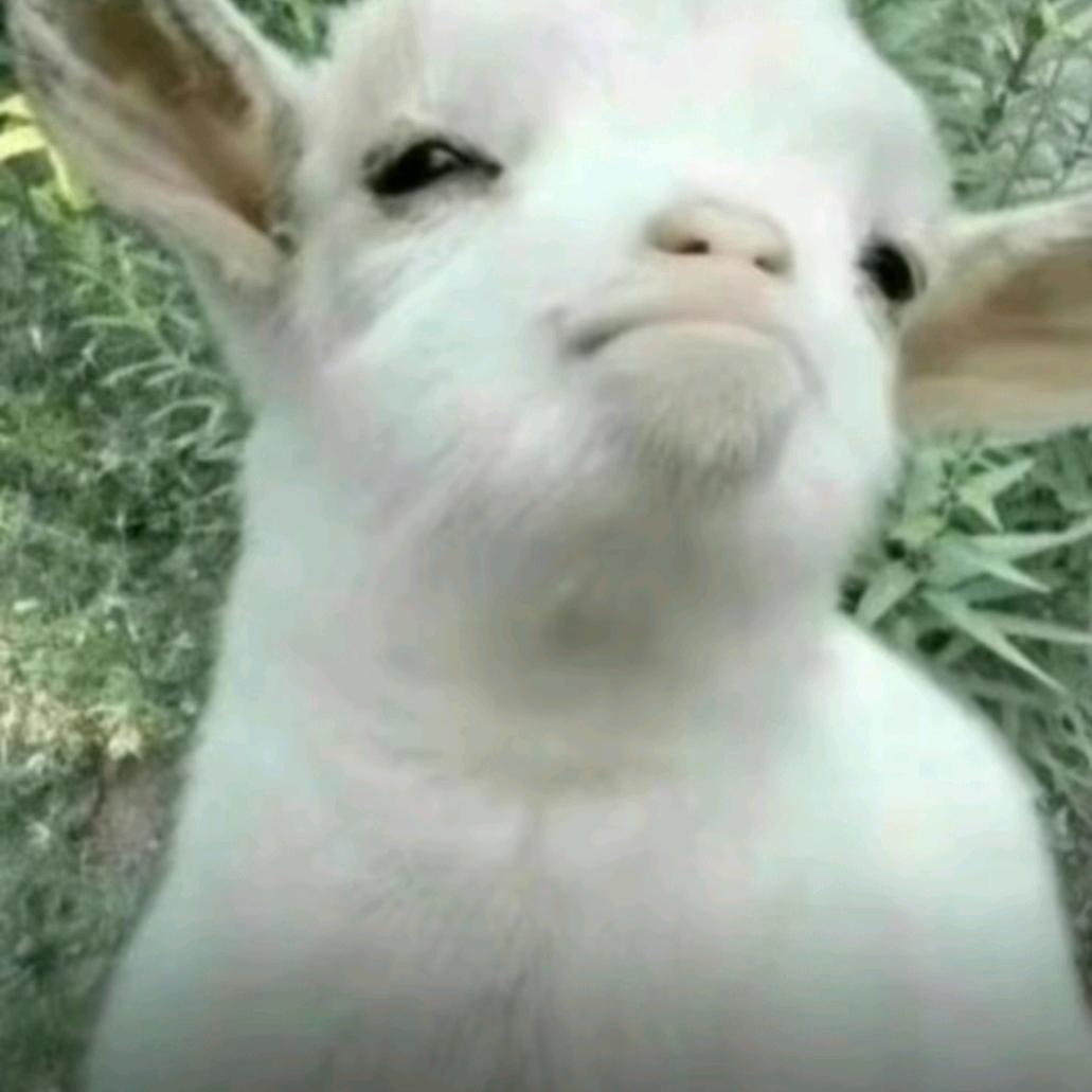 路费