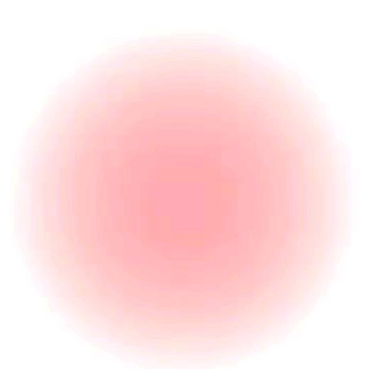 山茶花