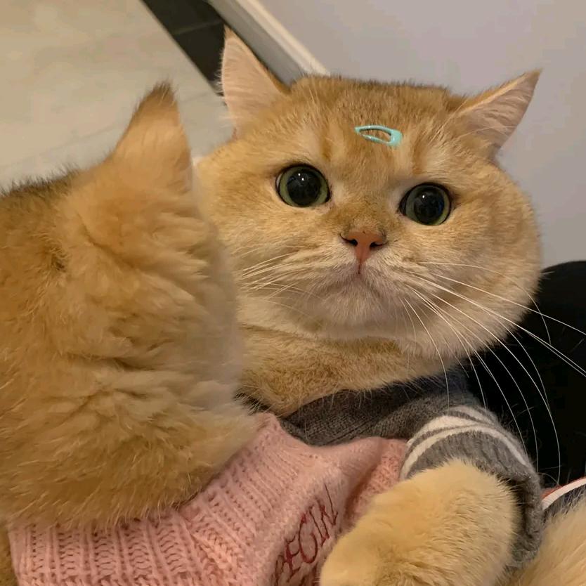 158的云