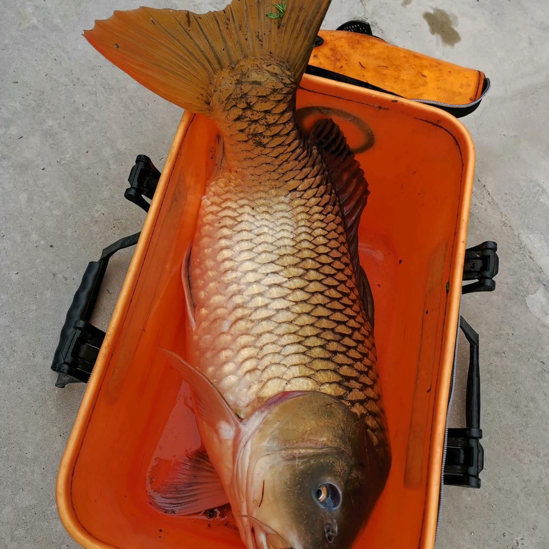 为你心动