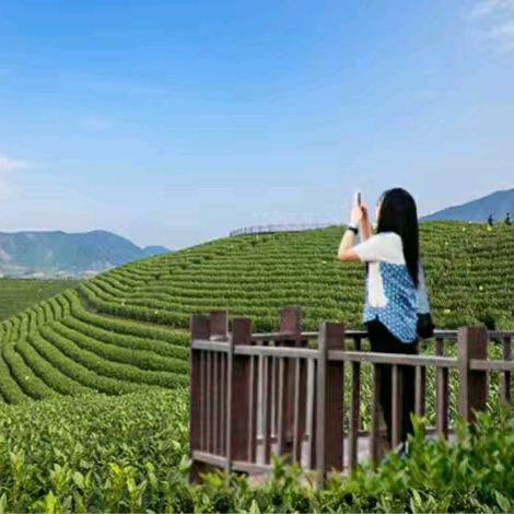 檀（拒绝聊天）