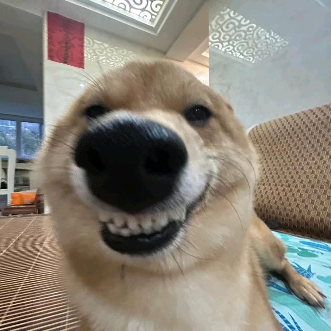 邓悍悍~