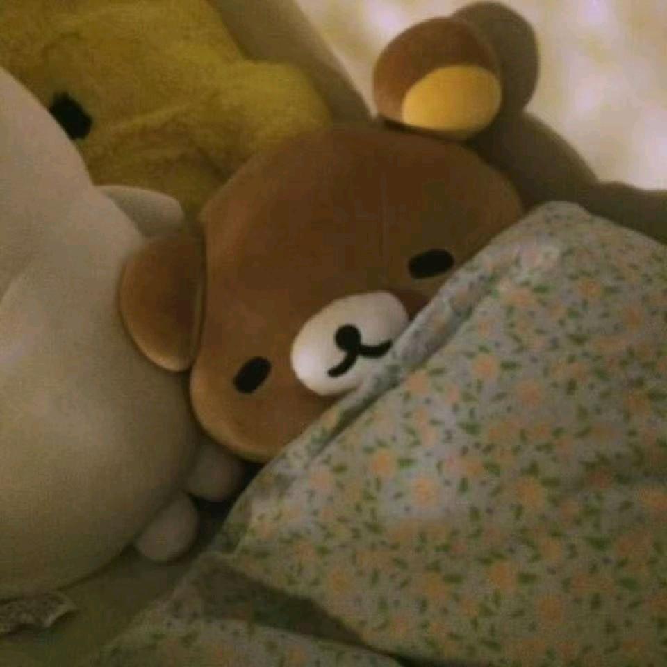 杏枝叶🍃