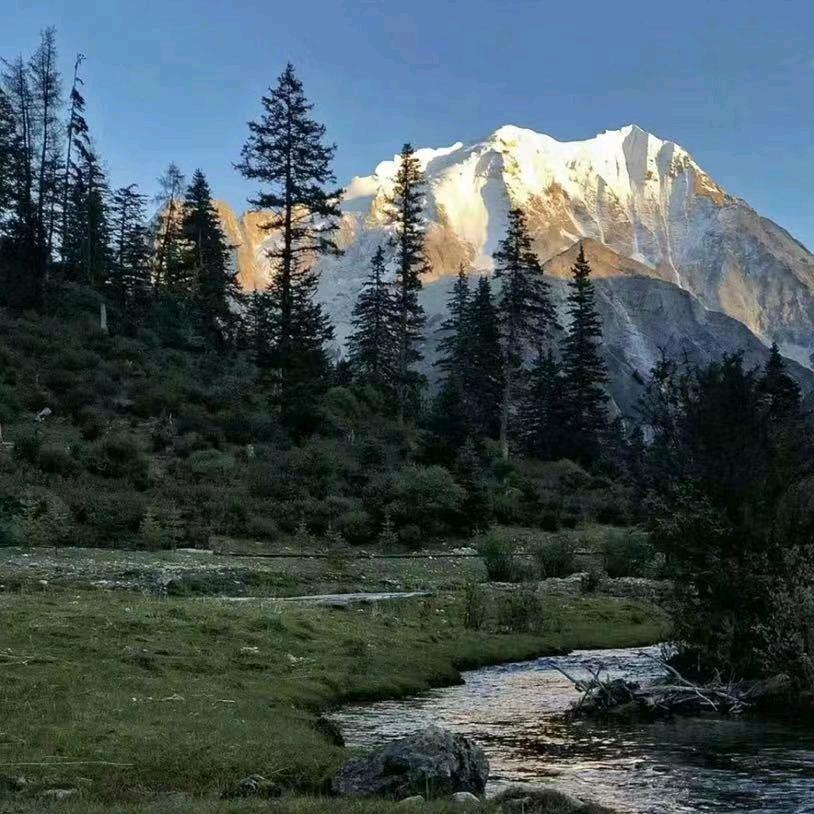 念念．