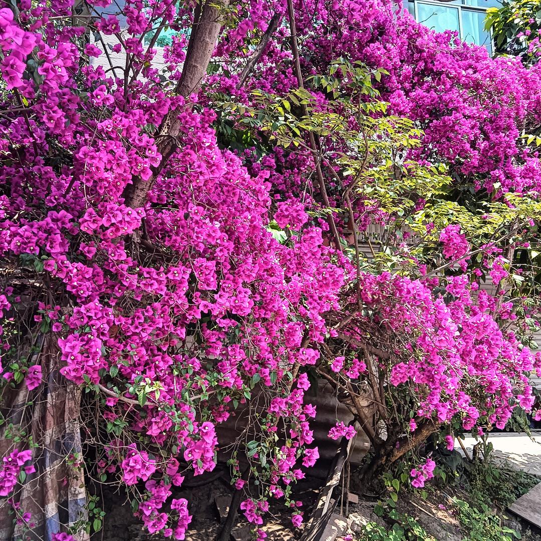 开开心心过后半辈子