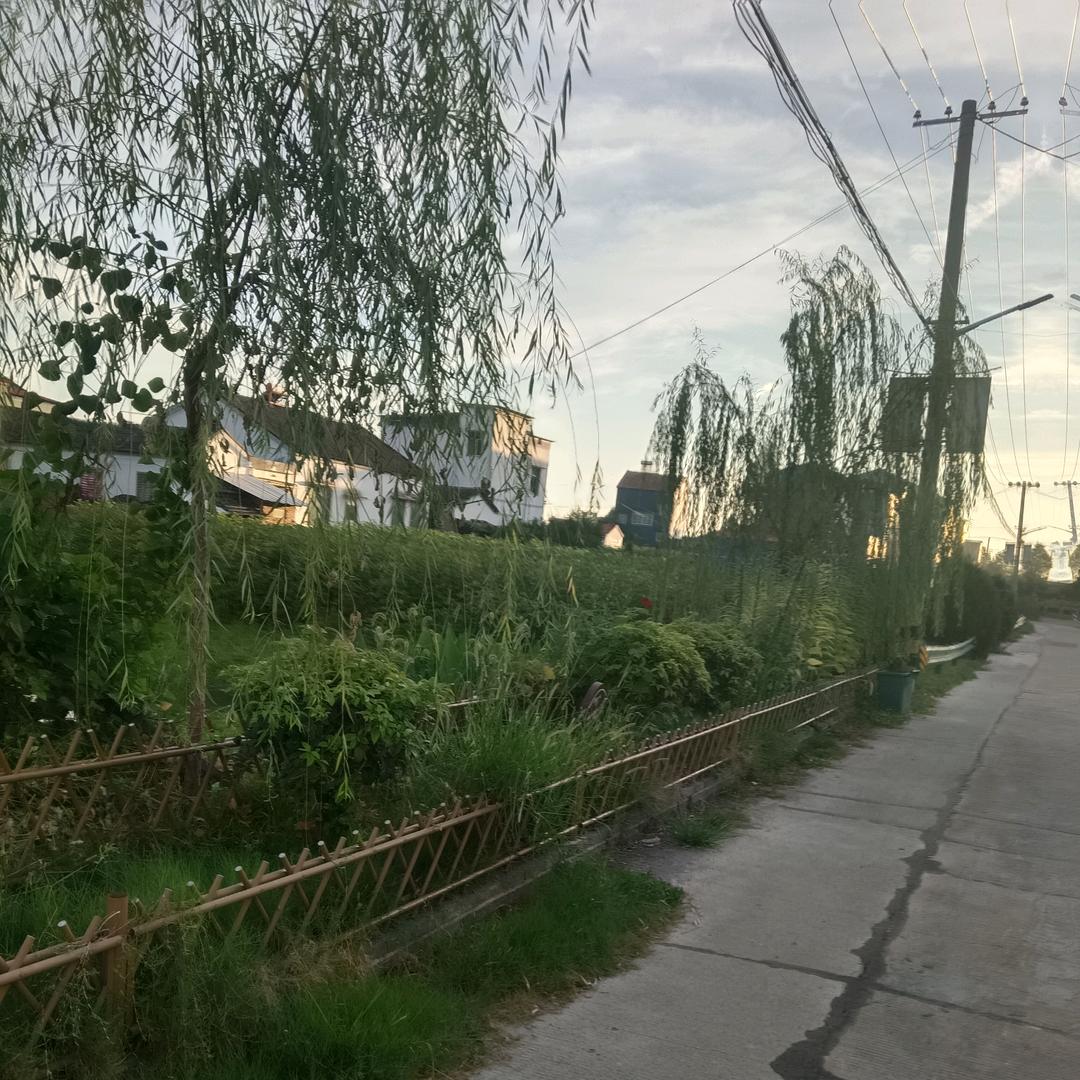 邓紫