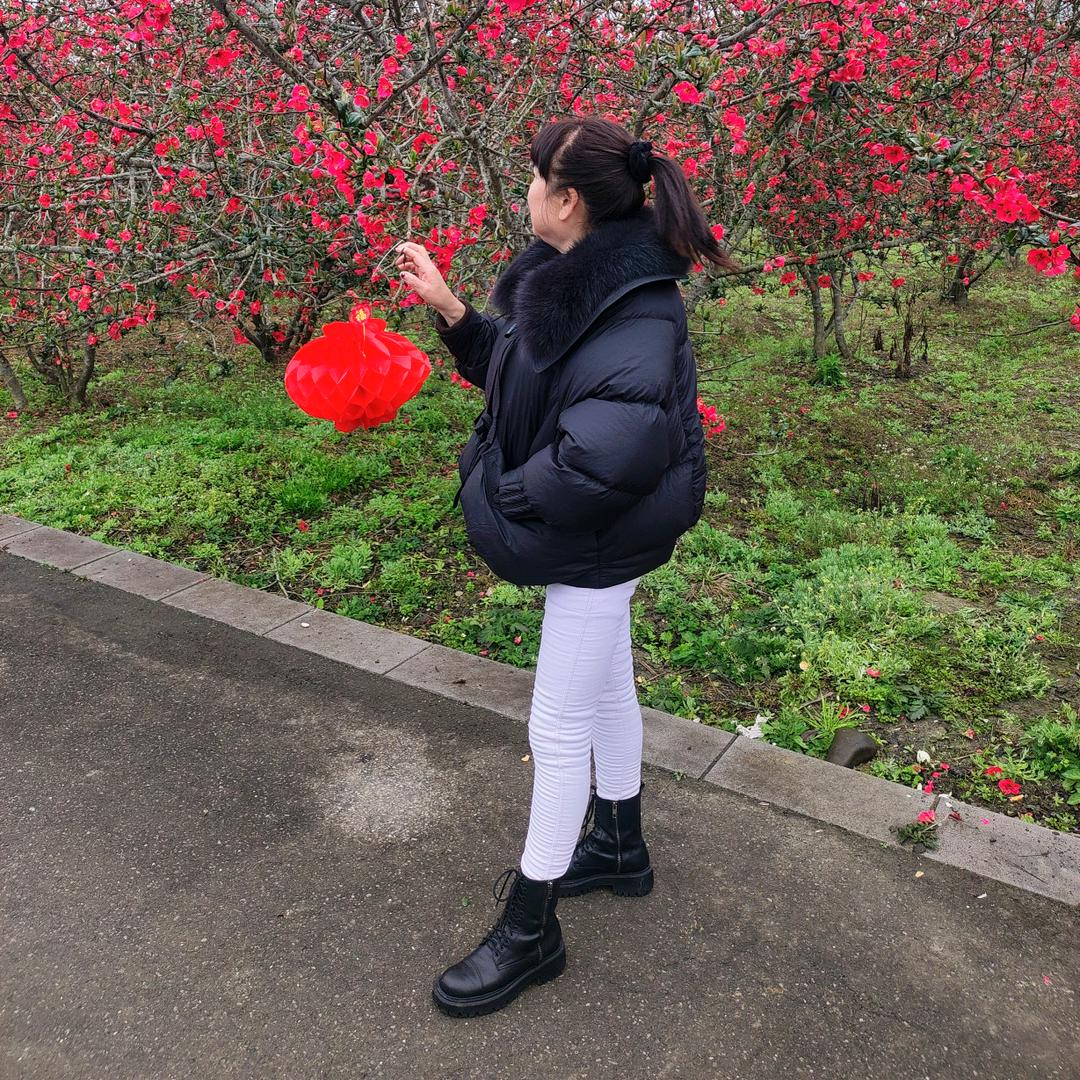 智慧🌹🌹🌹🌹🌹🌹