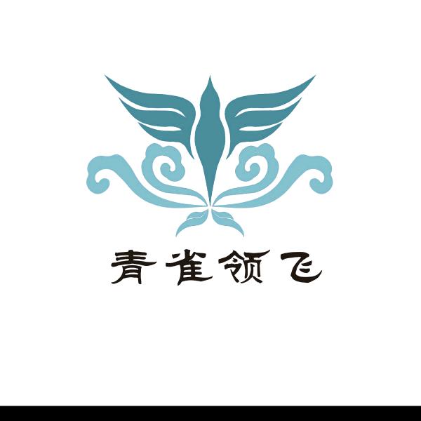 重庆青雀领飞通用航空有限公司