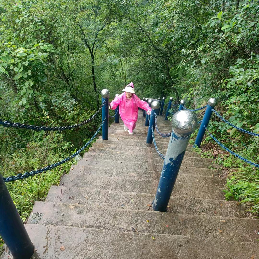🎡小娜吖