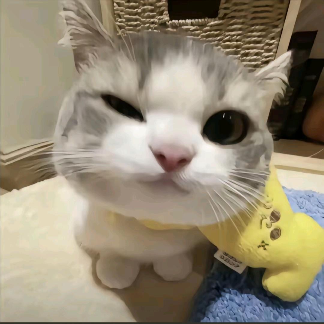 漓