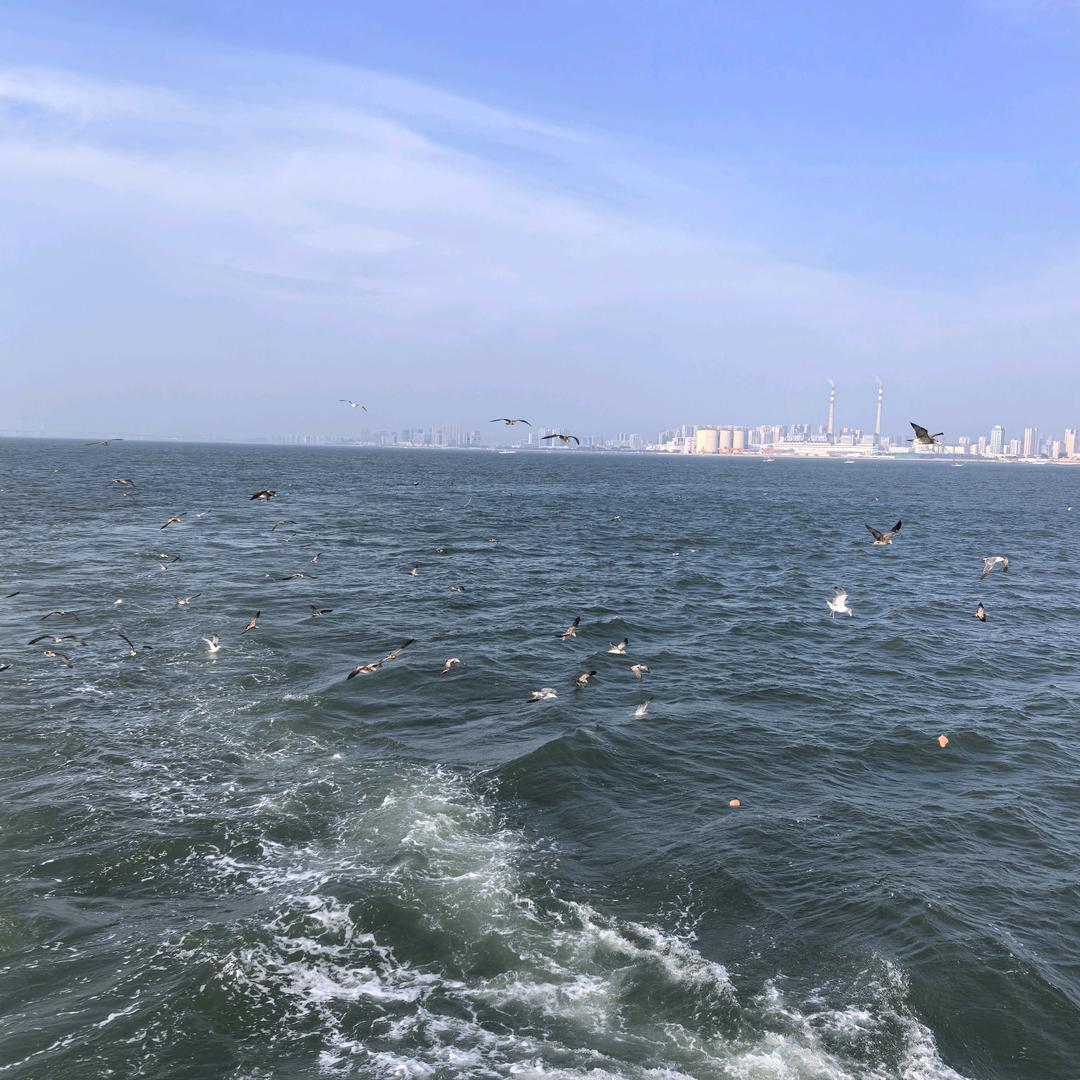 我与海