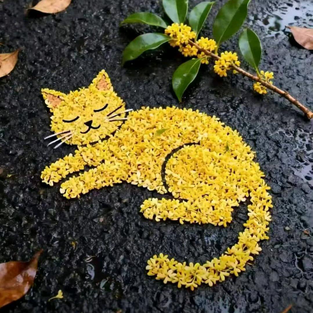 猫咪爱你
