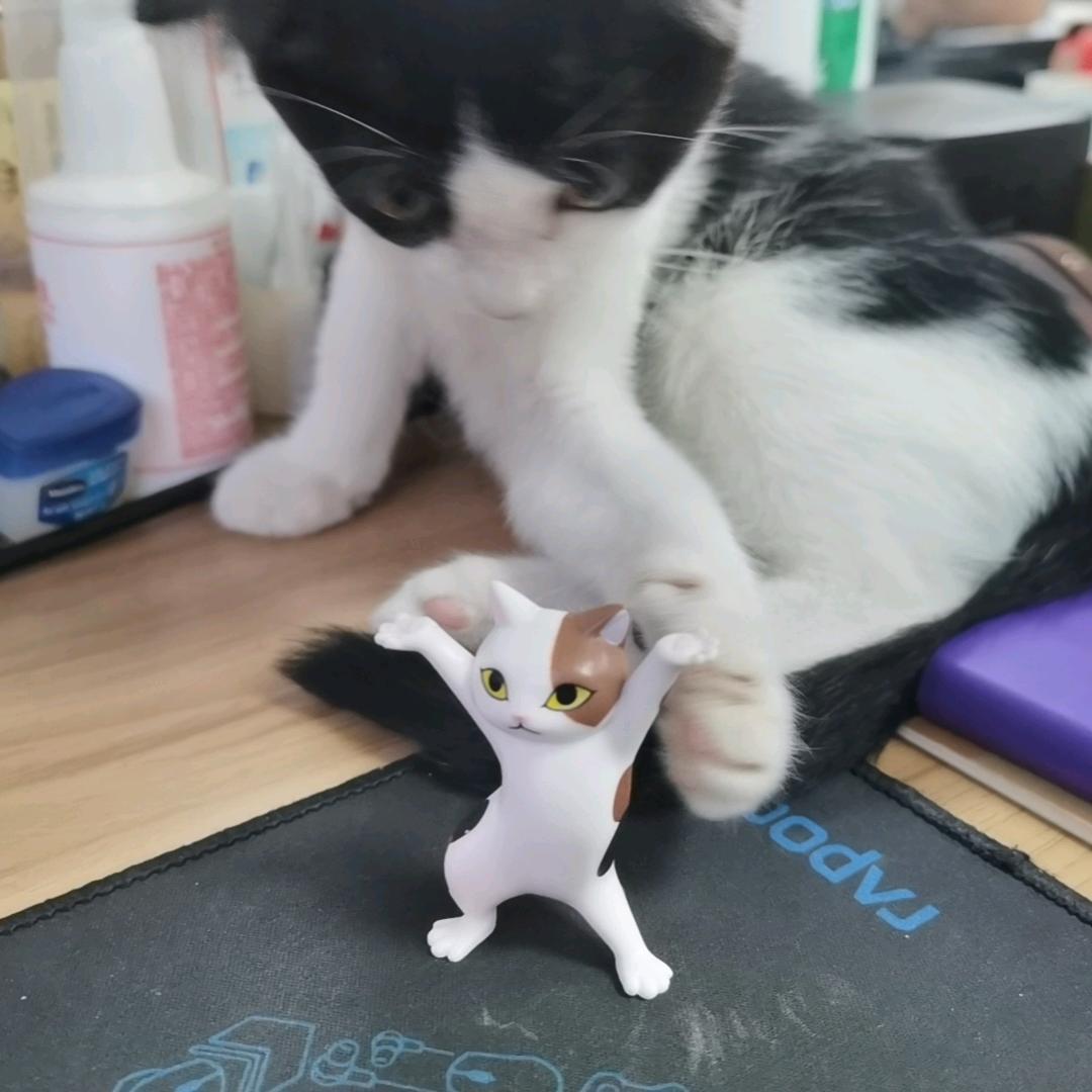 滚滚来