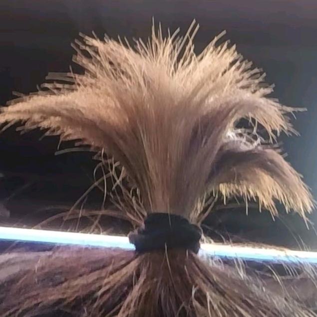 娇羞俏青年在公交车上被18个寡妇轮流让座