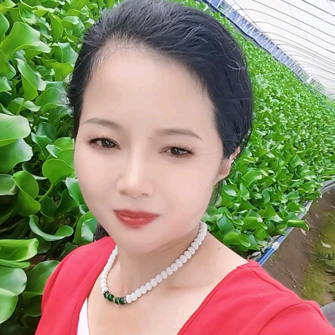 檀阿梅