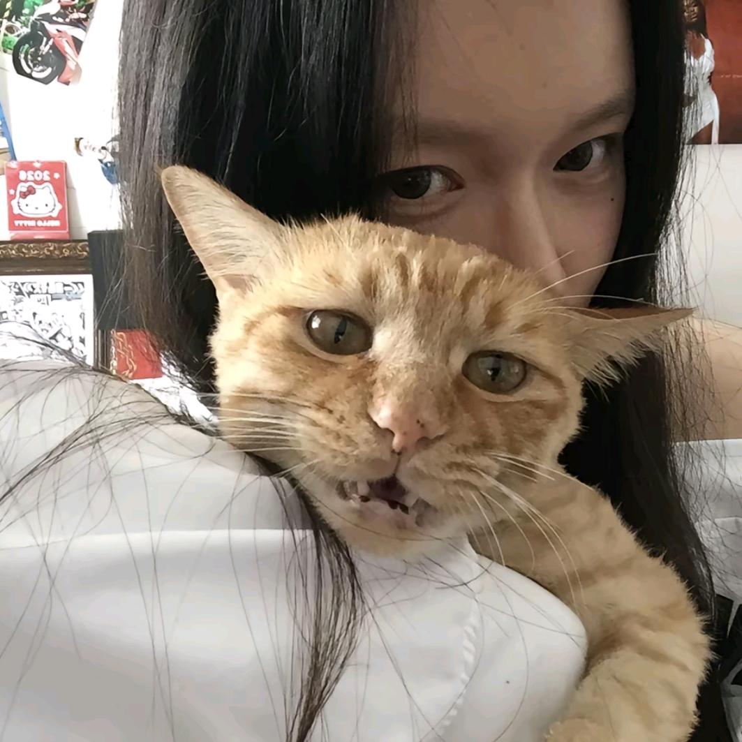 風酱心声、