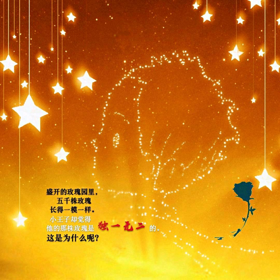 💌 ·₁₀₀₅·🐰