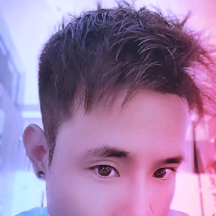 Serendipity、多肉