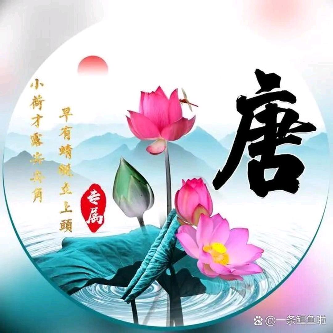 🇨🇳唐晓东WJ