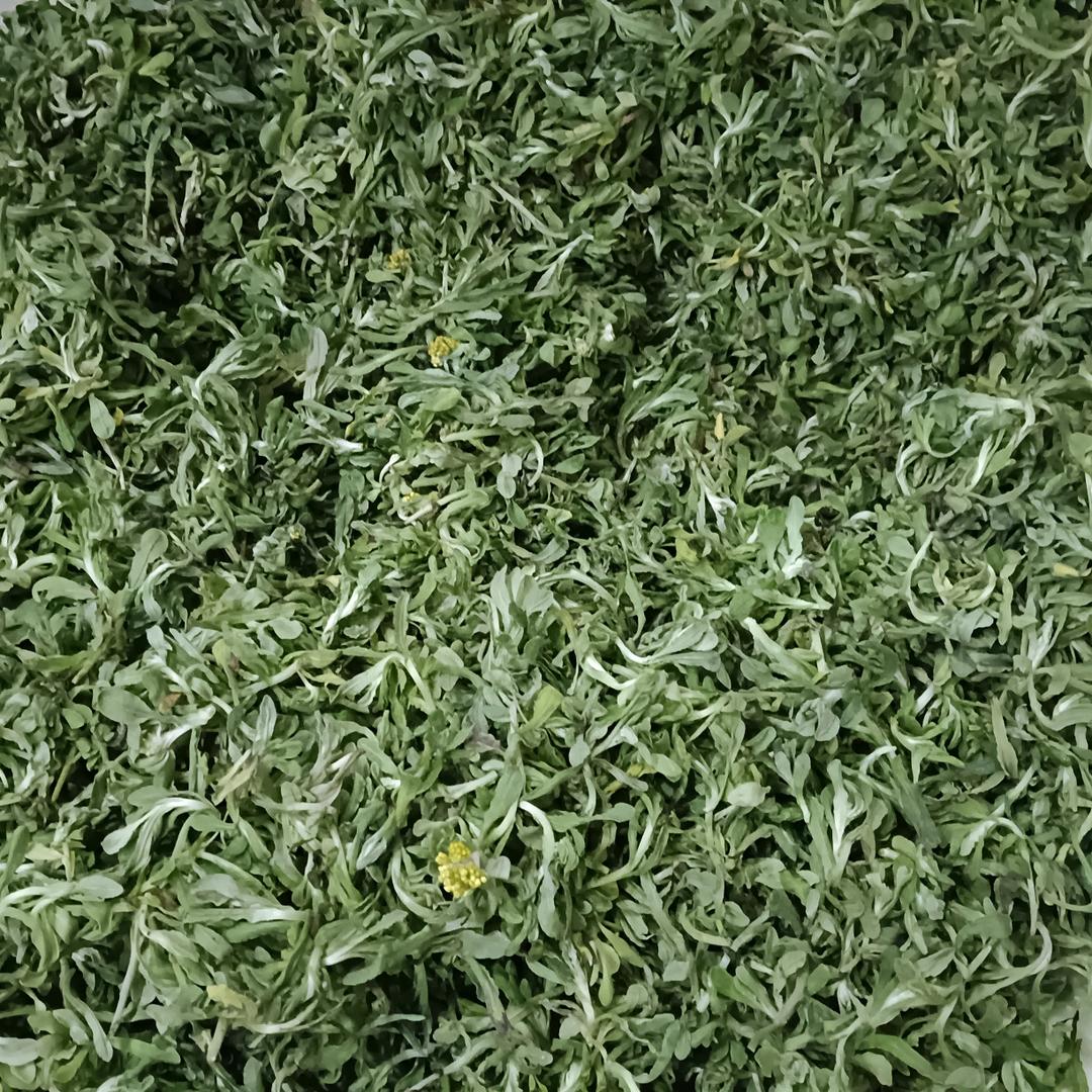 万事如意的万姐