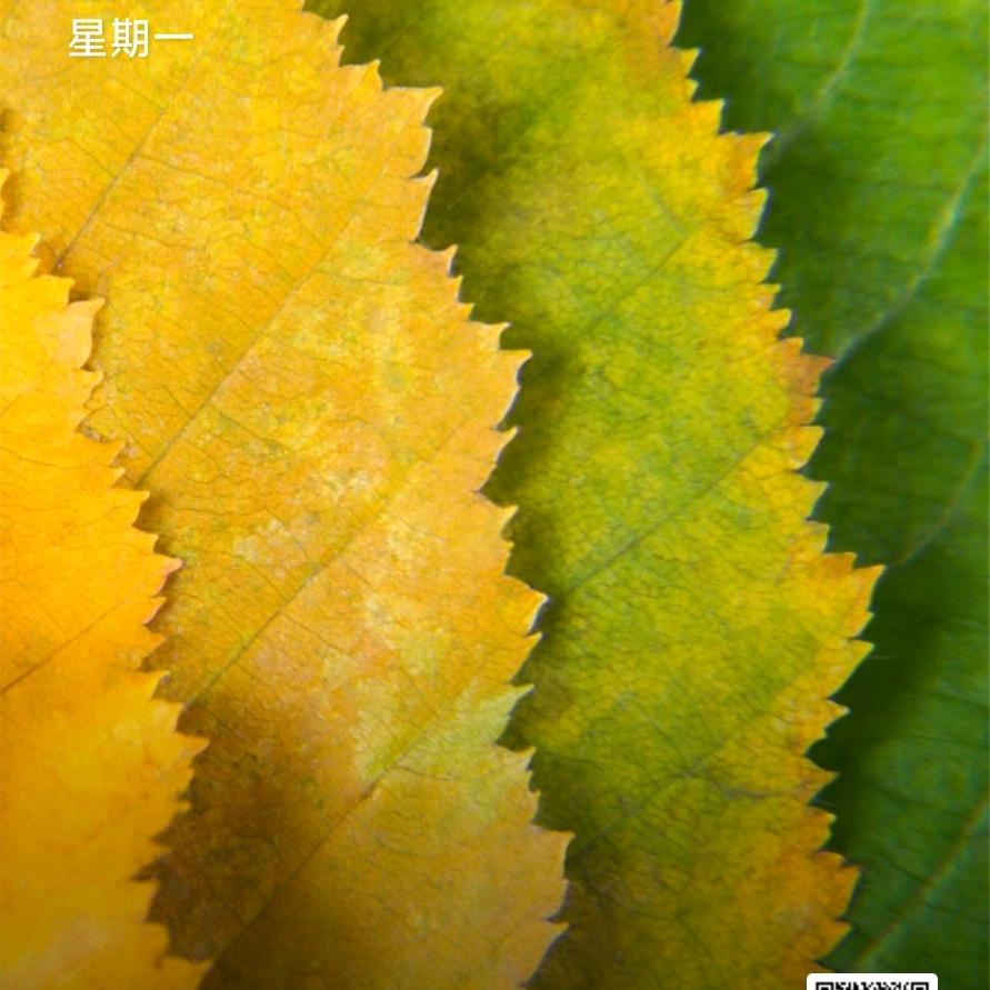 金融小知识
