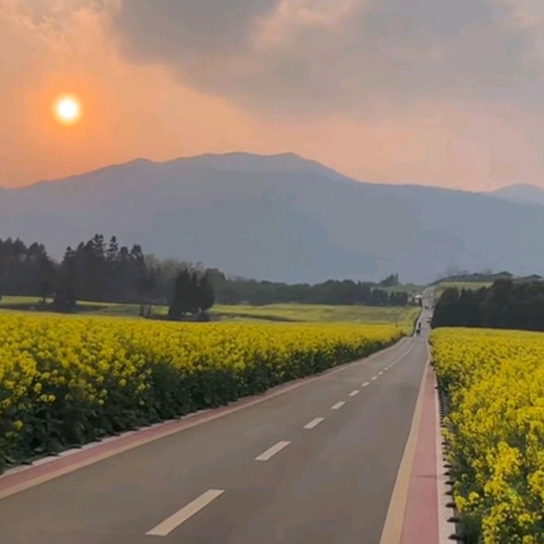 一颗糖的甜度👑