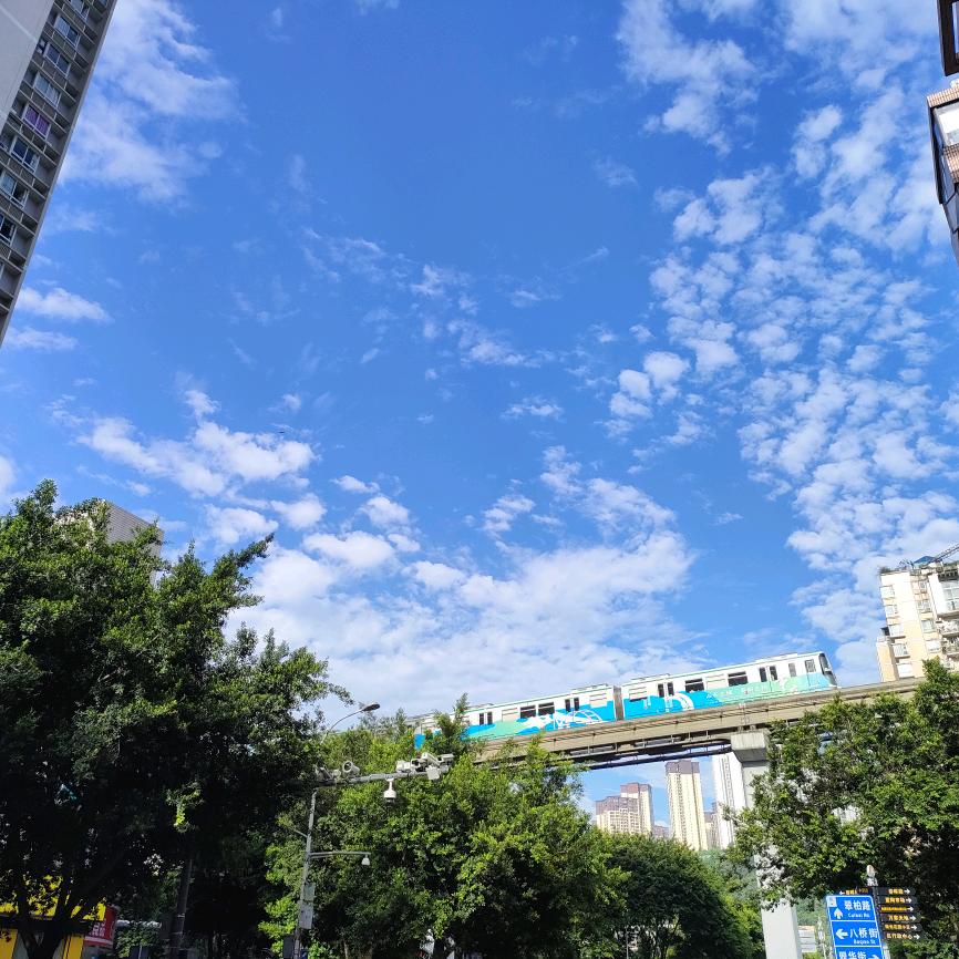任尔东西南北风