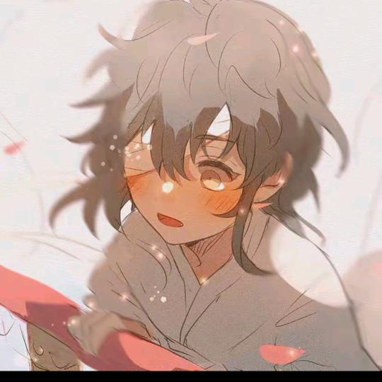 咖喱鸡排